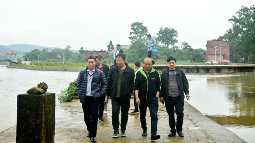 1557366104756213.jpg 8.jpg