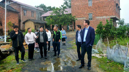 1557366114623608.jpg 9.jpg