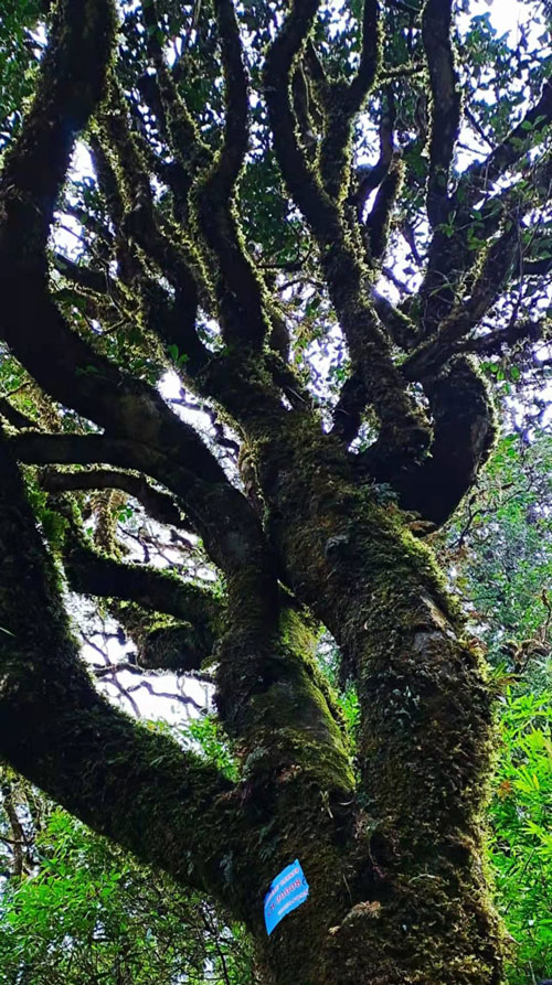 1611542910800213.jpg 6.jpg