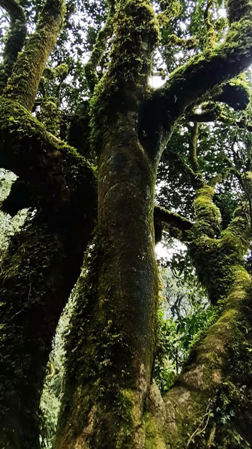 1611542923847647.jpg 8.jpg