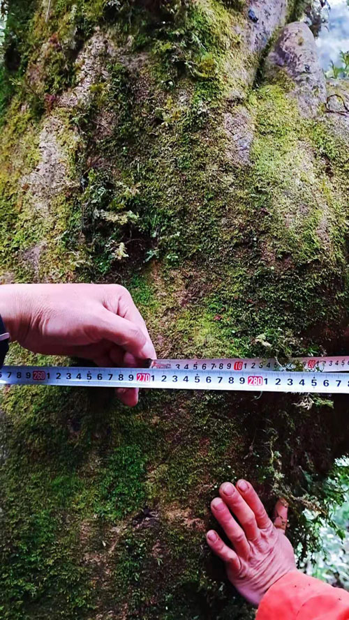 1611542937664340.jpg 7.jpg