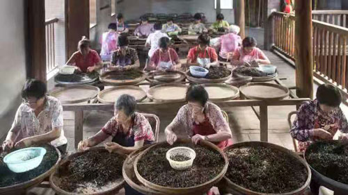 1615525164105438.jpg 10.jpg