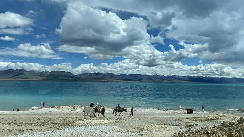 1658028912960109.jpg 3.jpg