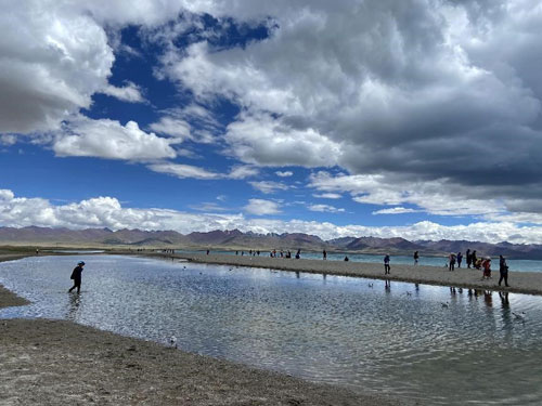 1658028922678266.jpg 5.jpg