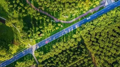 1694133614709411.jpg 1.jpg